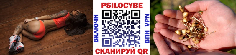 цена   Одинцово  Галлюциногенные грибы MAGIC MUSHROOMS 